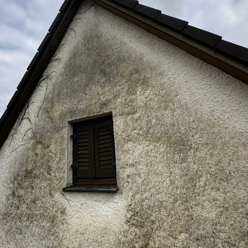 Verschmutzte Fassade vor der Reinigung