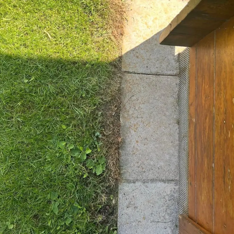 Garten nach der Gartenpflege durch Dienstleistungsservice Weinzierl
