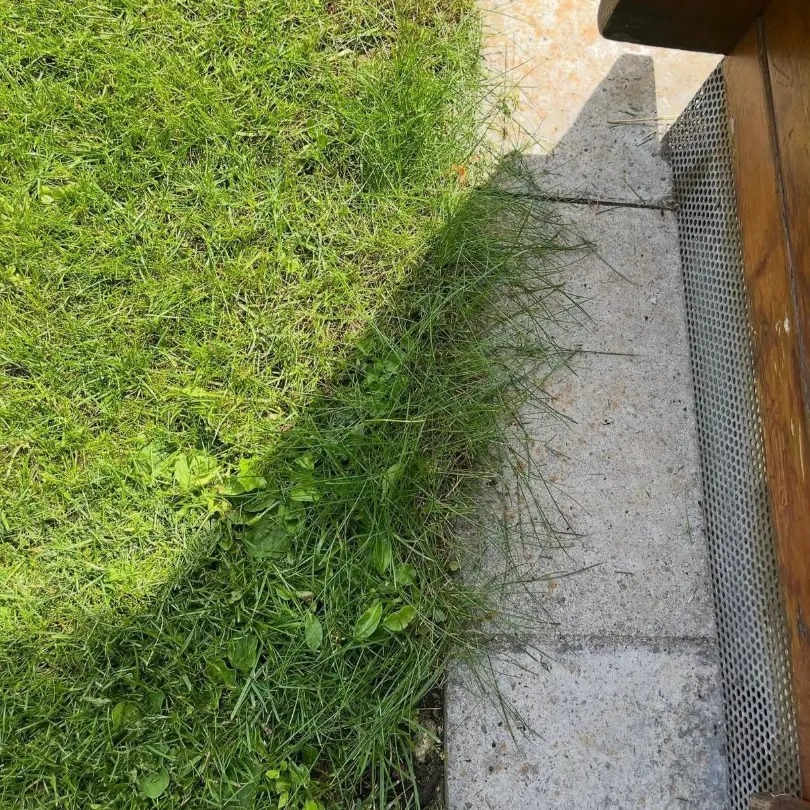 Garten vor der Gartenpflege